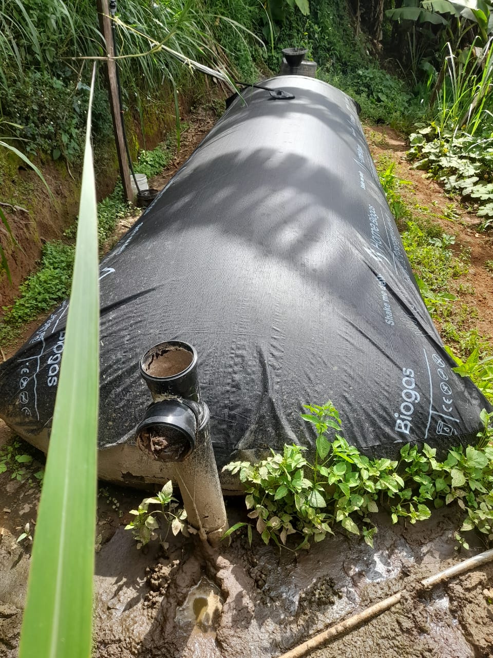 Biogas Installation in Rural Kenya