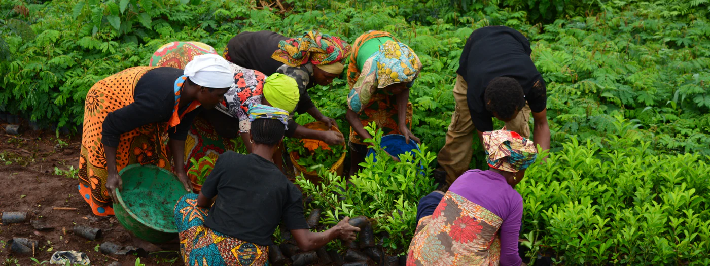 Community Tree Planting in Rural Kenya